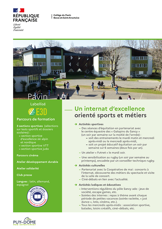 Image Flyer Pavin