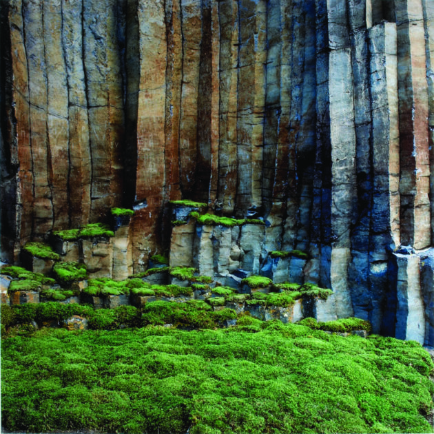 NILS-UDO - Colonnes de basalte (mousse) – 2000 Ilfochrome - 124 x 124 cm – Collection Frac Auvergne