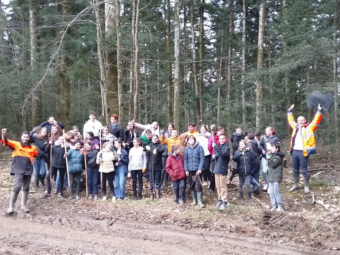 connaitre la filière bois