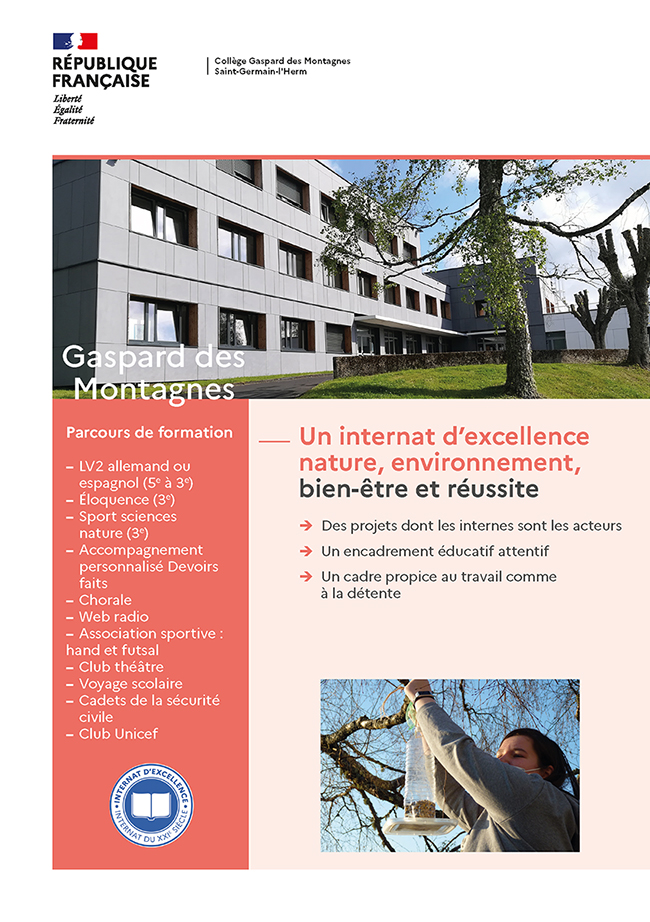 Image flyer