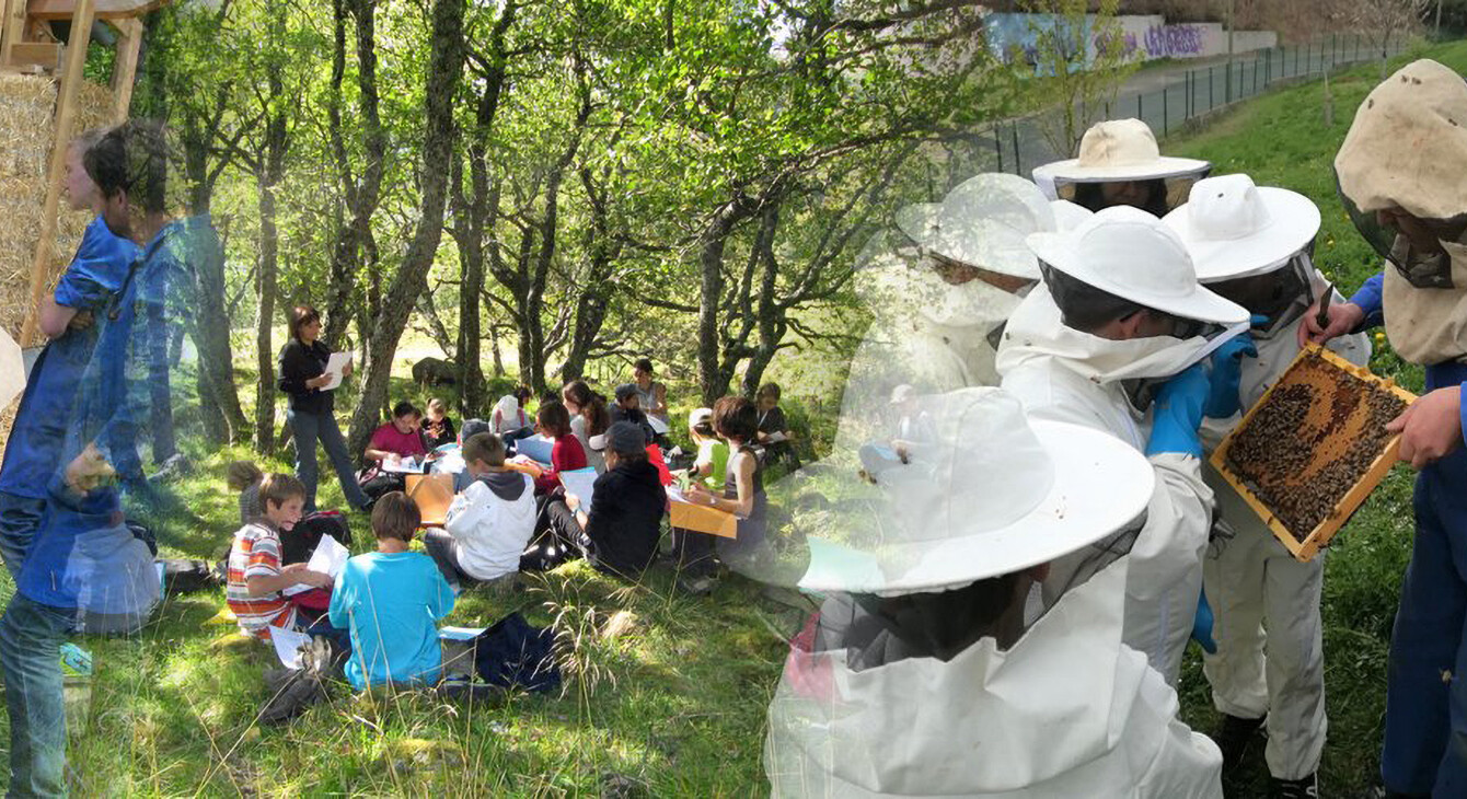 Votre allié indispensable pour le jardin - LeCLUB Le Bien Public