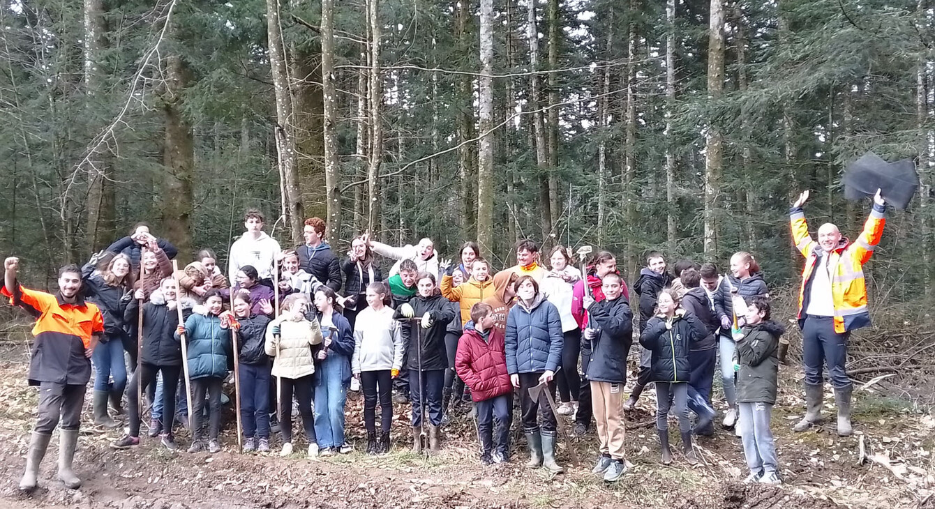 connaitre la filière bois