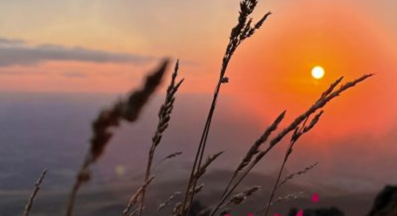 Affiche Horizons art nature en Sancy