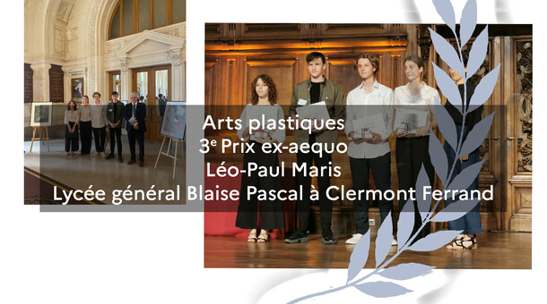 Arts plastiques 3e Prix ex-aequo Léo-Paul Maris Lycée général Blaise Pascal à Clermont Ferrand